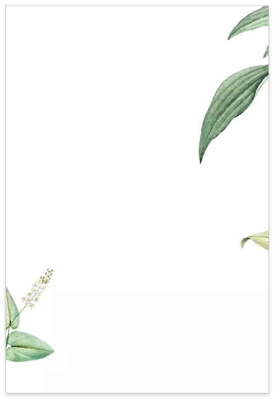 Partecipazione e bomboniera Botanica Grigio