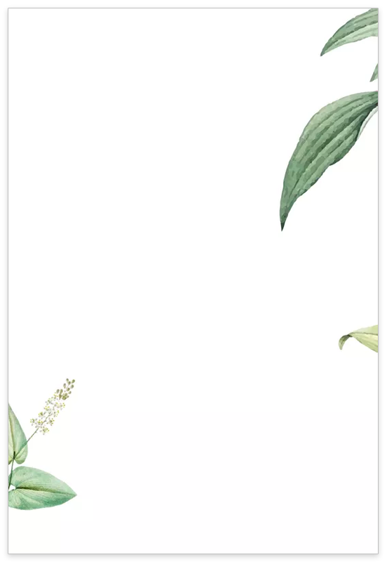 Partecipazione Botanica Verde Salvia