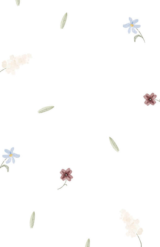 Partecipazione Cofanetto Semplice Trasparente Fiori Minimal