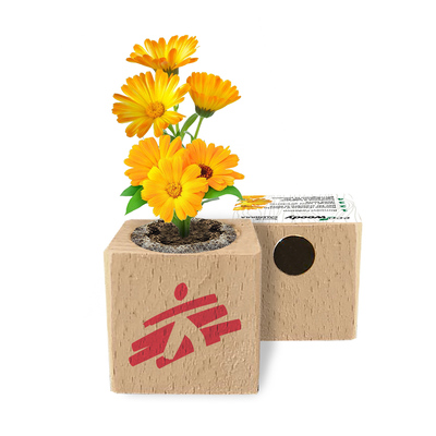 Magnete Decorativo con Semi di Fiori