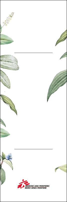 Matita piantabile botanica con semi di "Non ti scordar di me"