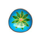 Ciotola di cocco laccata ninfea